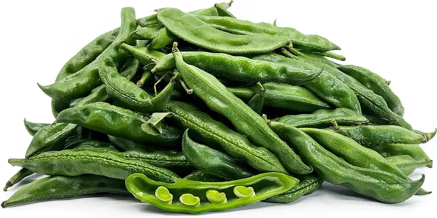 G Papdi Beans