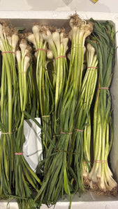 Green Garlic Bunch