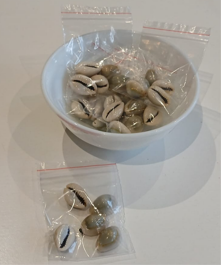 Shop Pooja Shankh Kaudi (5pcs) at Grocerywala