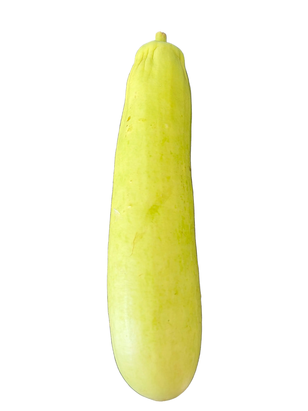 Dudhi Long (Too good to Waste)