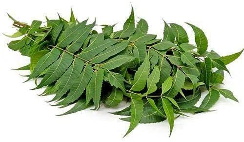 Neem leaves 100g