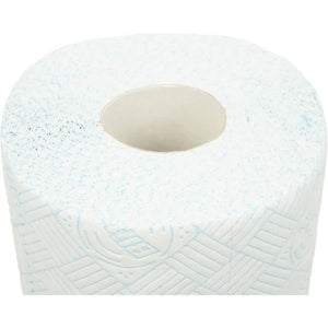 Regina Blitz Household Towel 2 rolls (130 sheets)