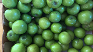 Shop Apple Bore at Grocerywala