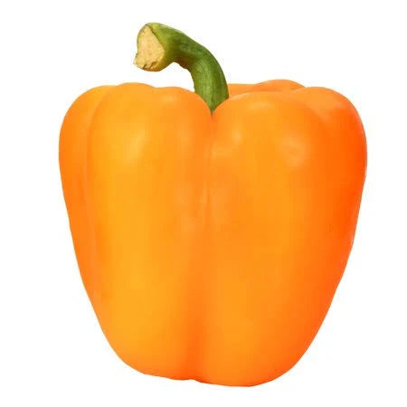 Shop Bell Pepper Orange at Grocerywala