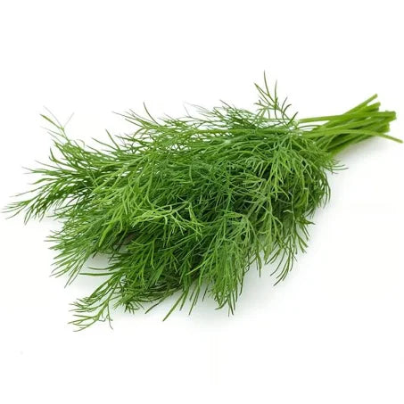 Shop Bunch Dill at Grocerywala