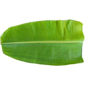 Banana leaves (Plantain leaf)