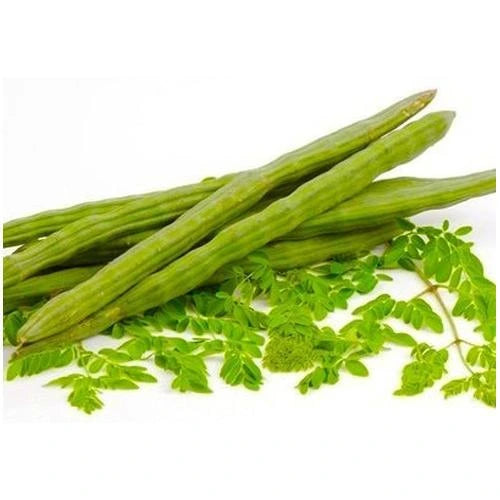 Shop Drumsticks (Moringa Sticks) at Grocerywala