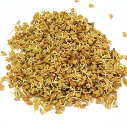 Shop Methi Beans Sprouts - 100g at Grocerywala