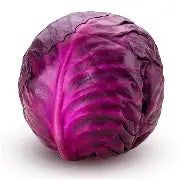 Cabbage Red Single