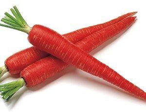 Shop Indian Red Carrots at Grocerywala