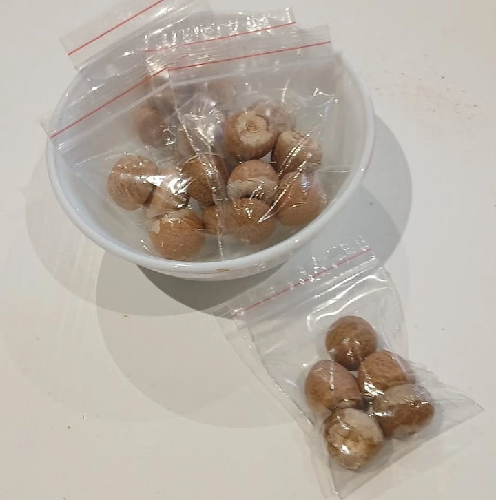 Shop Pooja Betel Nut Sopari (5 pcs) at Grocerywala