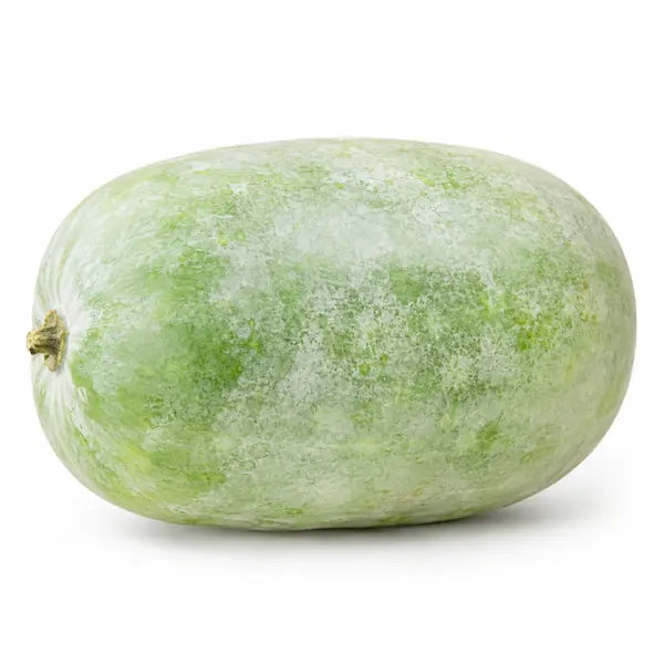 Fresh whole Indian ash gourd on a white background