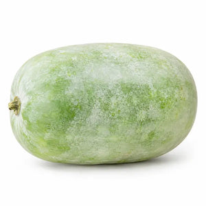 Fresh whole Indian ash gourd on a white background