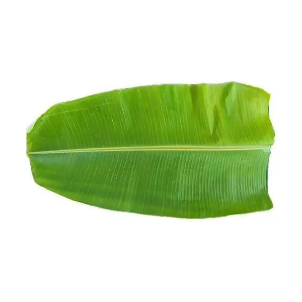 Fresh banana plantain leaf for serving and pooja