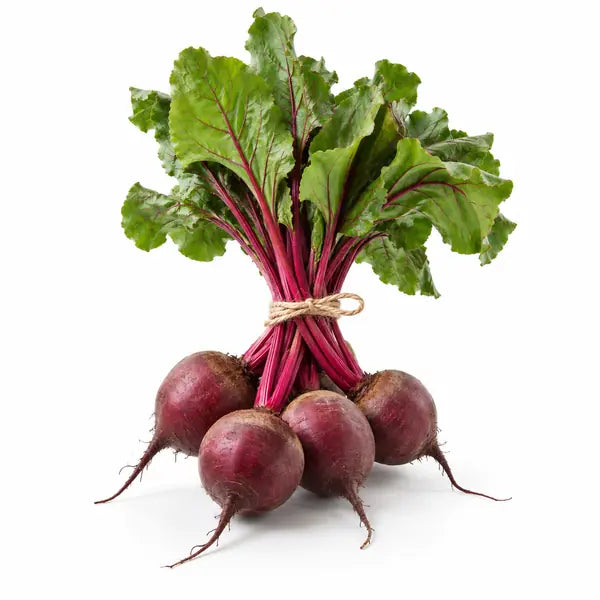 Fresh beetroot bunch with leafy tops on a white background