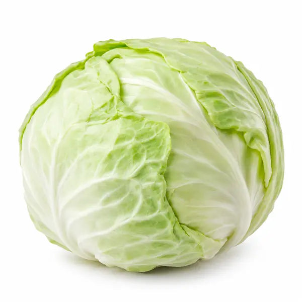 Fresh whole Turkish cabbage on a white background