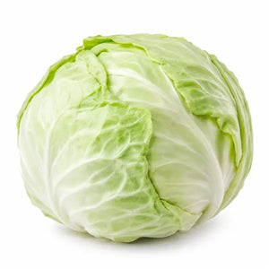 Fresh whole Turkish cabbage on a white background