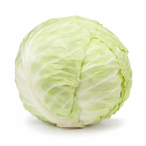 Fresh whole white cabbage on a white background