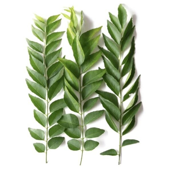 Shop Pre Packed Curry Leaves at Grocerywala