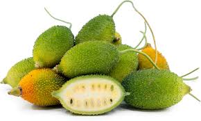 Teasel Gourd (Kandola)