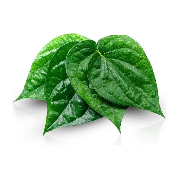 Fresh betel leaves pack of five