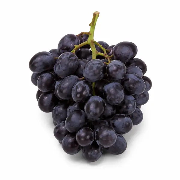 Fresh black seedless grape bunch on a white background