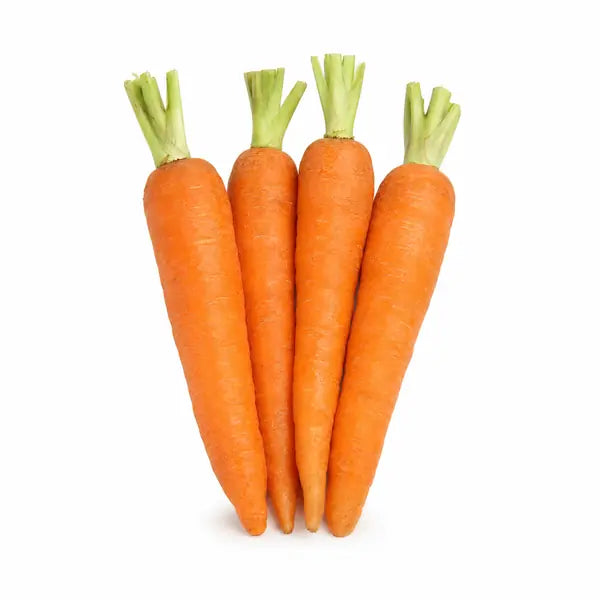 Fresh British carrots with trimmed green tops on white