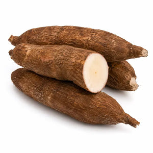 Fresh cassava tapioca roots on a clean white background