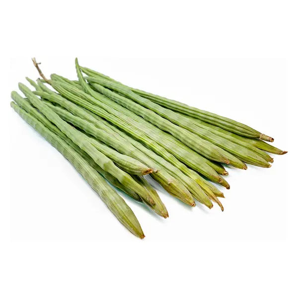 Fresh green drumsticks moringa sticks for Indian cooking