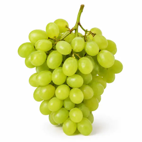 Fresh green seedless grape bunch on a clean white background
