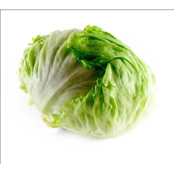Fresh iceberg lettuce whole crisp green salad head