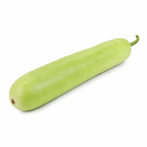 Fresh long dudhi bottle gourd on a clean white background