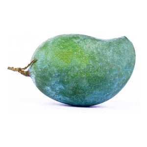 Fresh raw green mango for pickles, chutneys, curries and salads