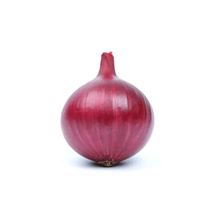Fresh whole red onion with purple skin and roots