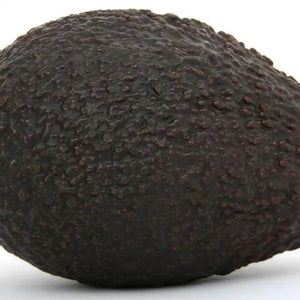 Fresh ripe avocado whole fruit on clean white background