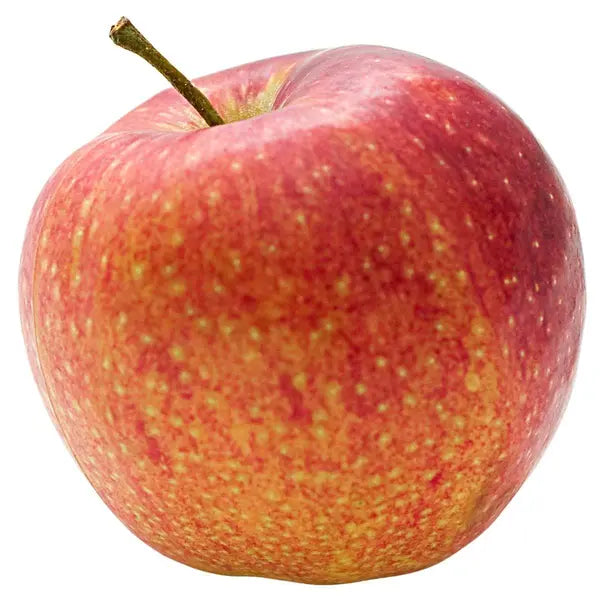 Fresh Royal Gala apple with red and yellow skin