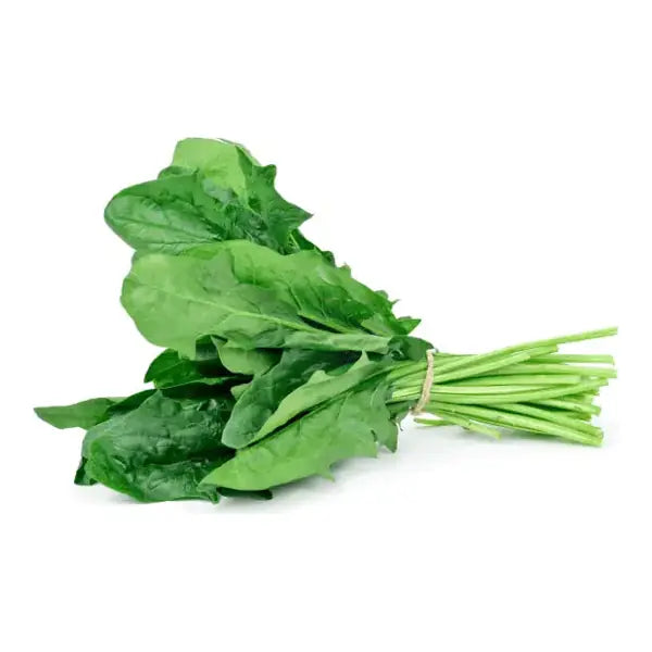 Fresh spinach Palak bunch with green leaves and stems