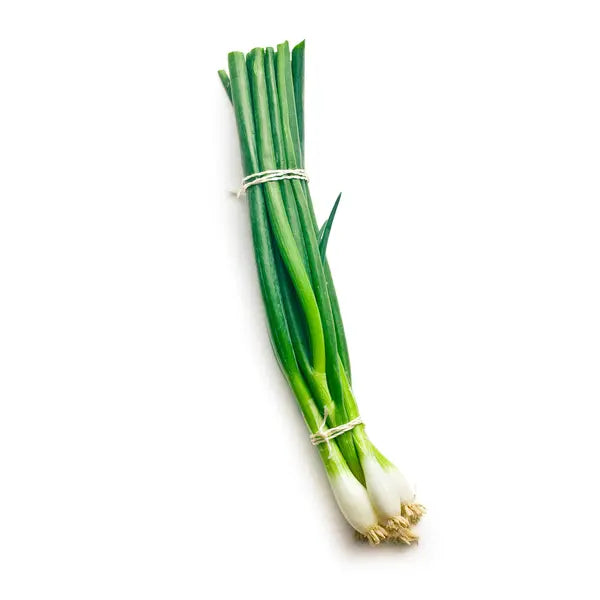 Fresh spring onions bunch with green stalks and white bulbs
