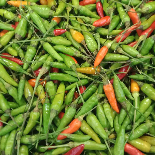Fresh mixed Thai bird's eye chillies in red and green