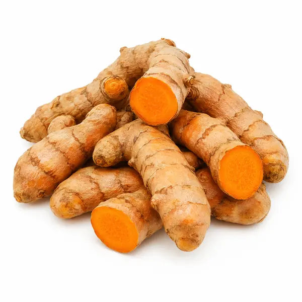 Fresh turmeric root with orange cut ends on white background