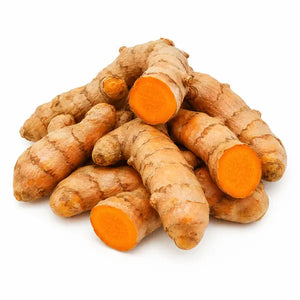 Fresh turmeric root with orange cut ends on white background