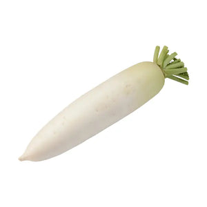 Fresh white radish mooli with trimmed green stems