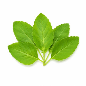 Fresh Tulsi Leaves - 5pcs