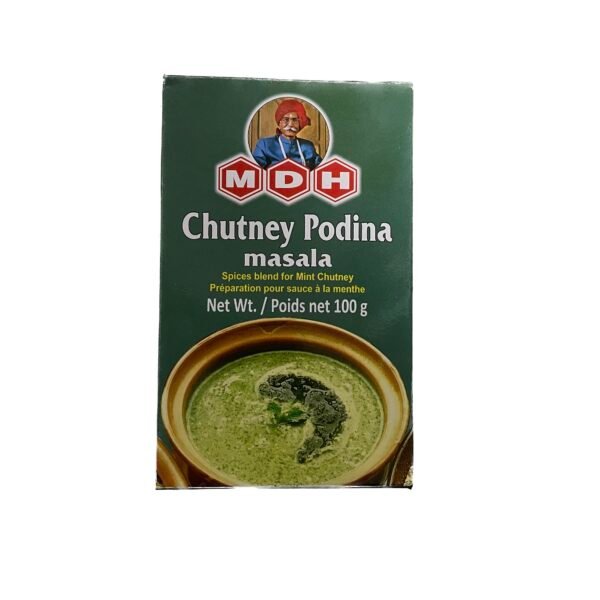 Shop Mdh Masala Chutney Podina 100G at Grocerywala