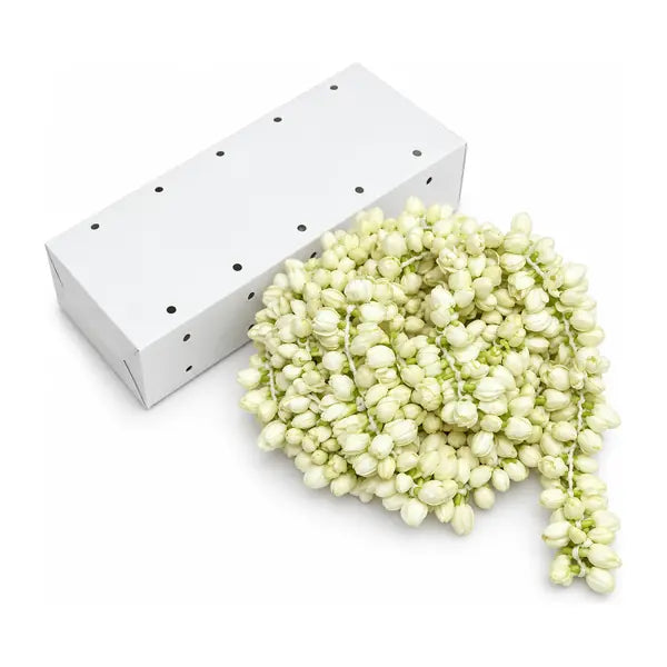 Fresh jasmine flower garland 10ft with ventilated box