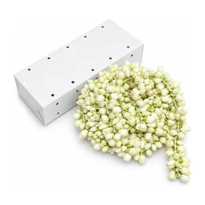 Fresh jasmine flower garland 10ft with ventilated box
