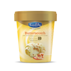 Kwality Butterscotch ice cream tub 450ml frozen dessert