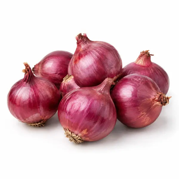 Fresh small red onions on a white background