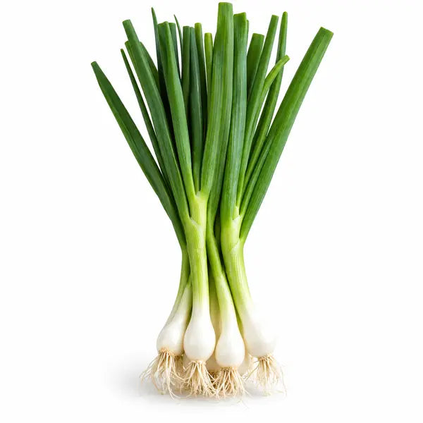 Fresh German spring onions on a white background