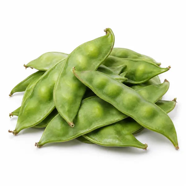 Fresh valor beans on a white background